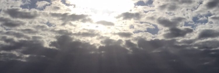 Philaecharvin's profile banner image