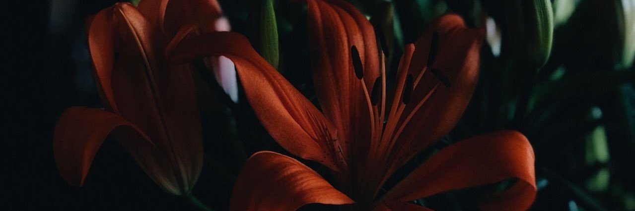 dvrkcloud's profile banner image