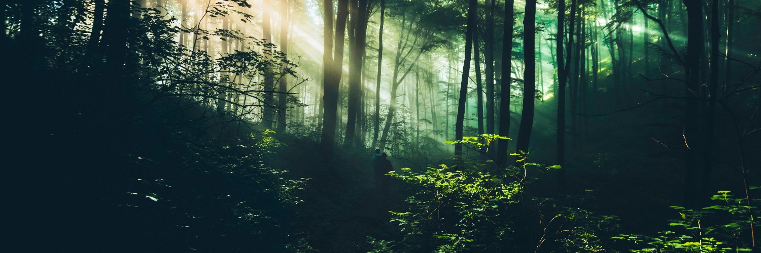 Strahinja Todorović banner