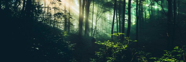 BabaStraja Profile Banner