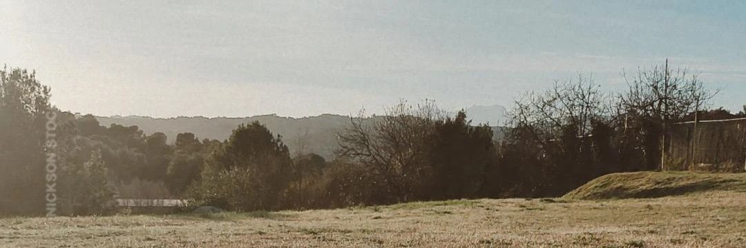 San. 🤘🏽 banner