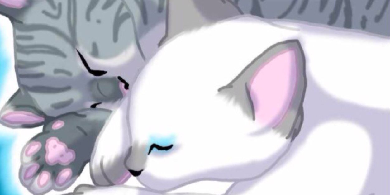 Jay_of_Sc's profile banner image