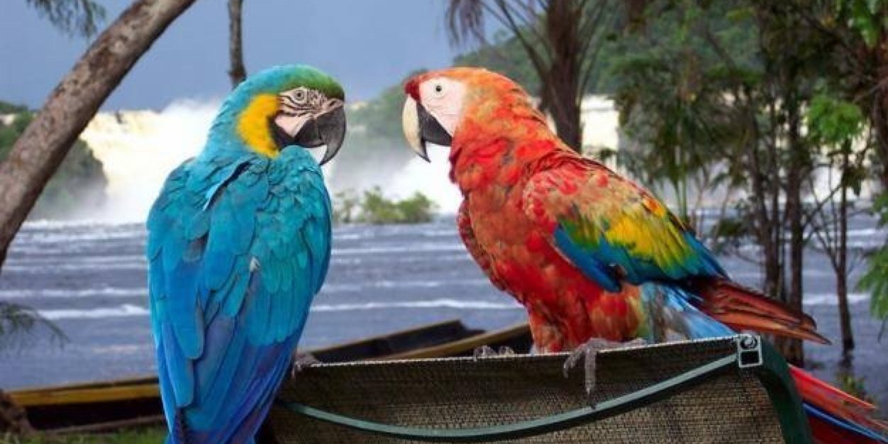 PINERO_JUAN's profile banner image