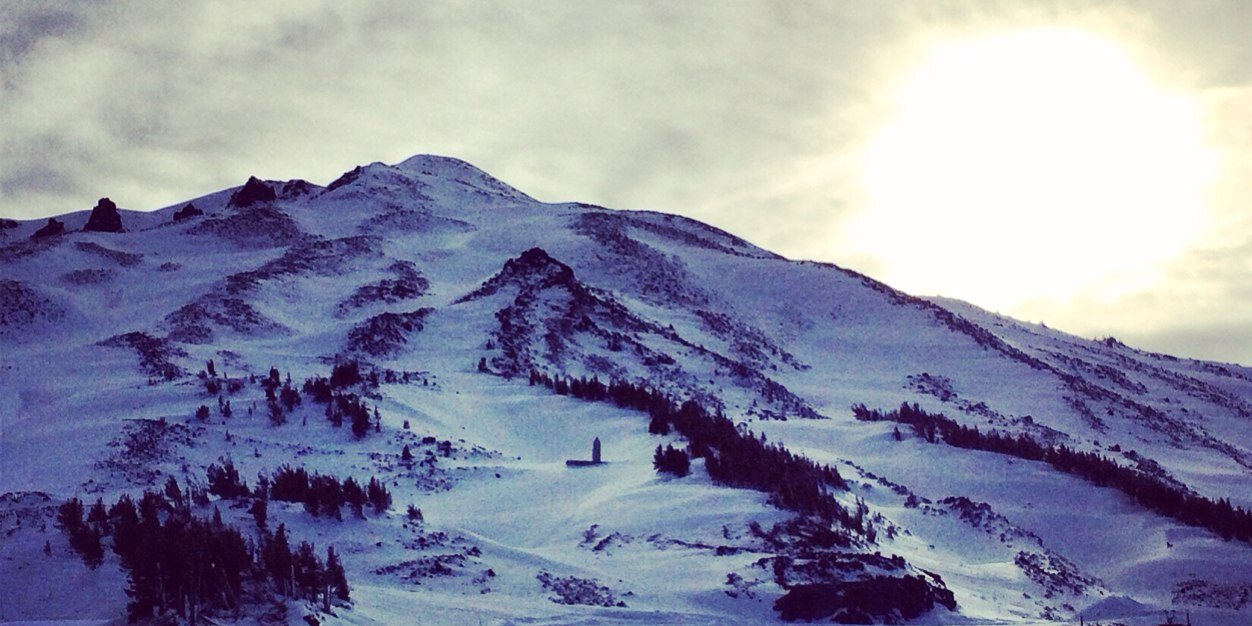 Austin Fricker banner