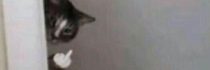 Isa_Belle25's profile banner image