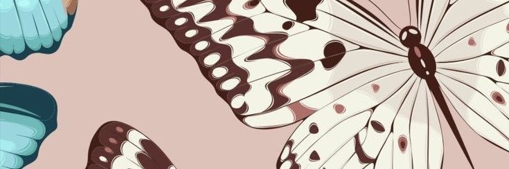 fergomes_'s profile banner image