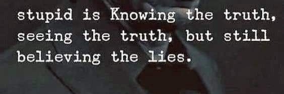 XTOPHER BISON🐐 banner