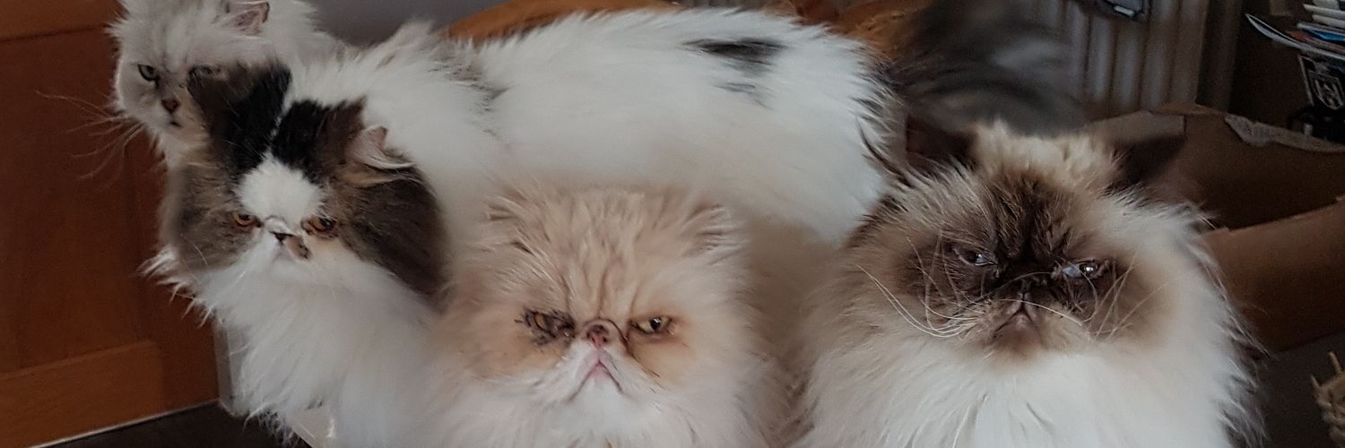 herafen's profile banner image