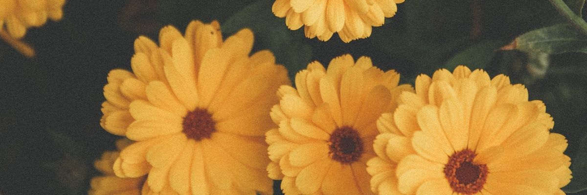 LetiCernuda's profile banner image