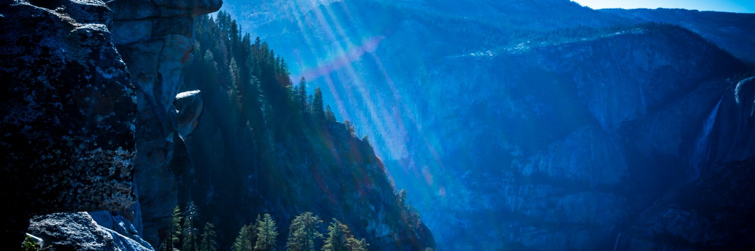 simona_ignat's profile banner image