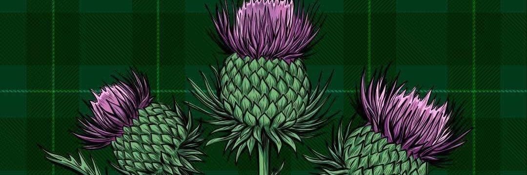 marclynch5's profile banner image