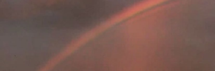 ronconcocaaa's profile banner image