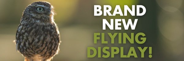 HawkConservancy Profile Banner
