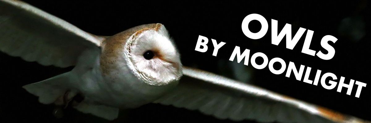 Hawk Conservancy Trust banner