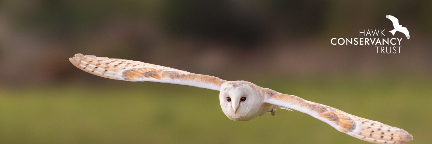 Hawk Conservancy Trust banner