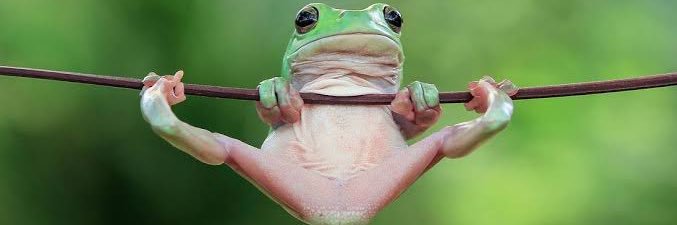 Eungkai อึ่งไข่เอง banner