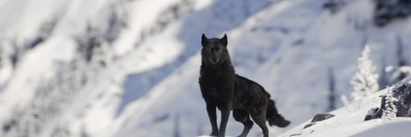 BenPhillips Profile Banner