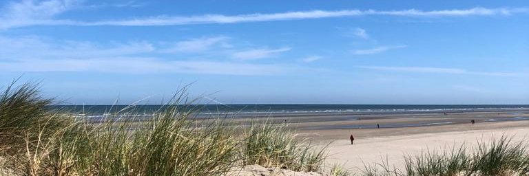 Katrien Geens banner