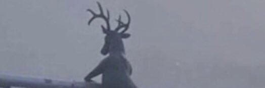 cwaysungy's profile banner image