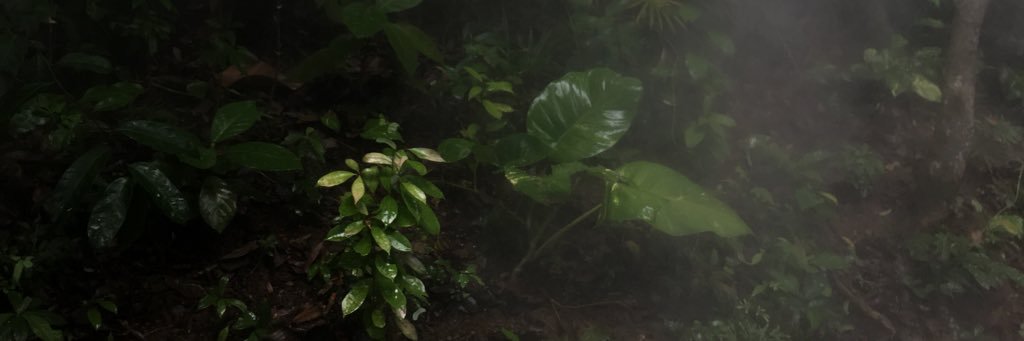 sidneyhaydel's profile banner image