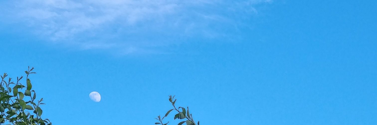RussenZock's profile banner image