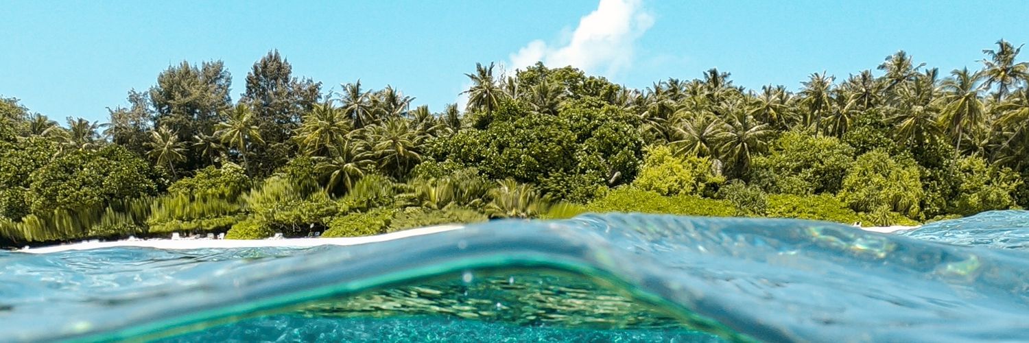 shxydf's profile banner image