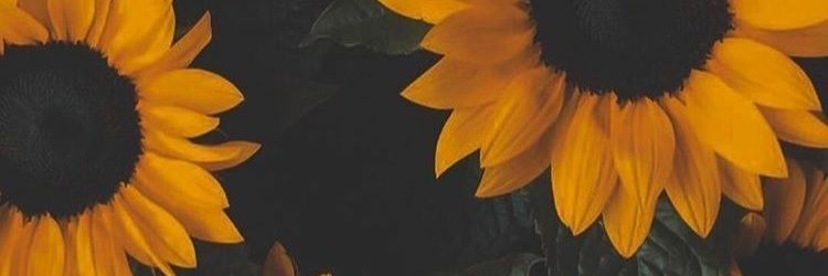 FuhrValen's profile banner image