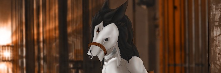 Scath_Mactire's profile banner image