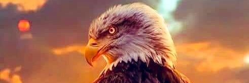 JohnGeagle11's profile banner image