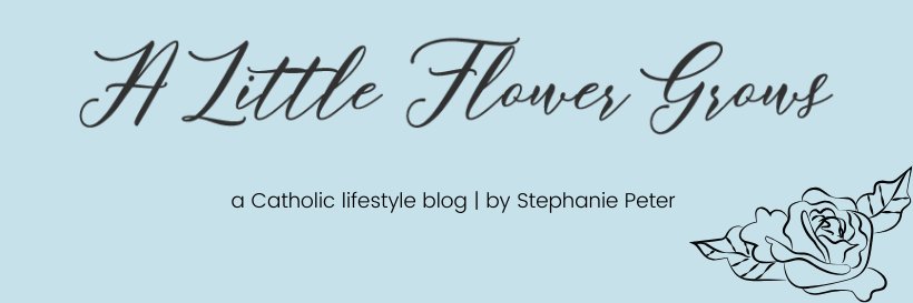 stephaniebpeter's profile banner image
