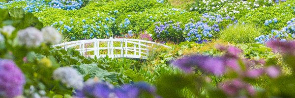 trebahgarden Profile Banner
