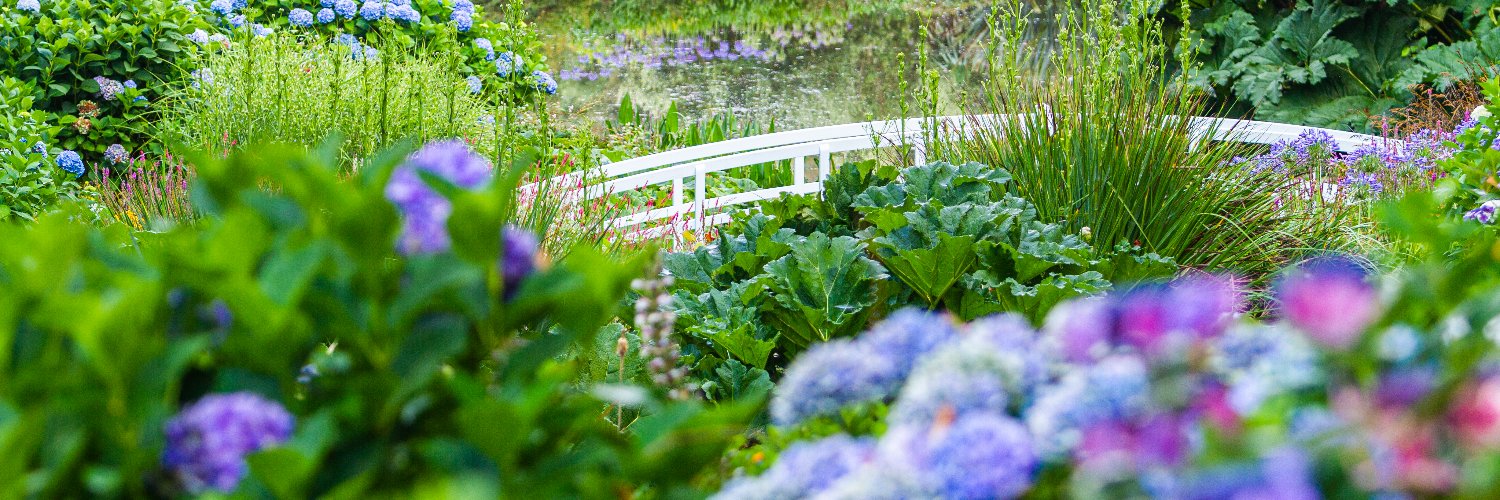 trebahgarden's profile banner image