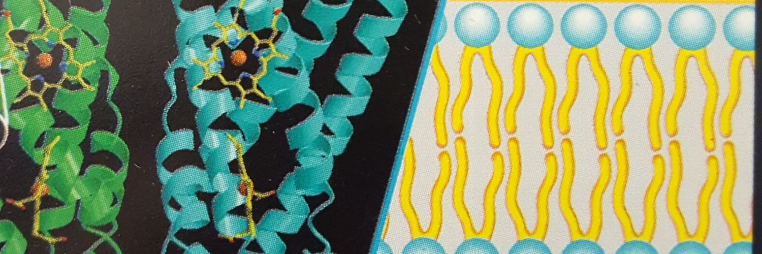 Struct_Biology's profile banner image