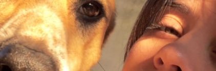 annlaiss's profile banner image