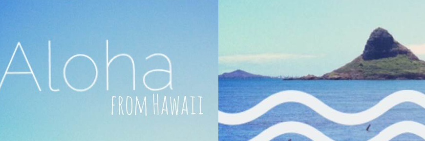 HauteShopTweets's profile banner image