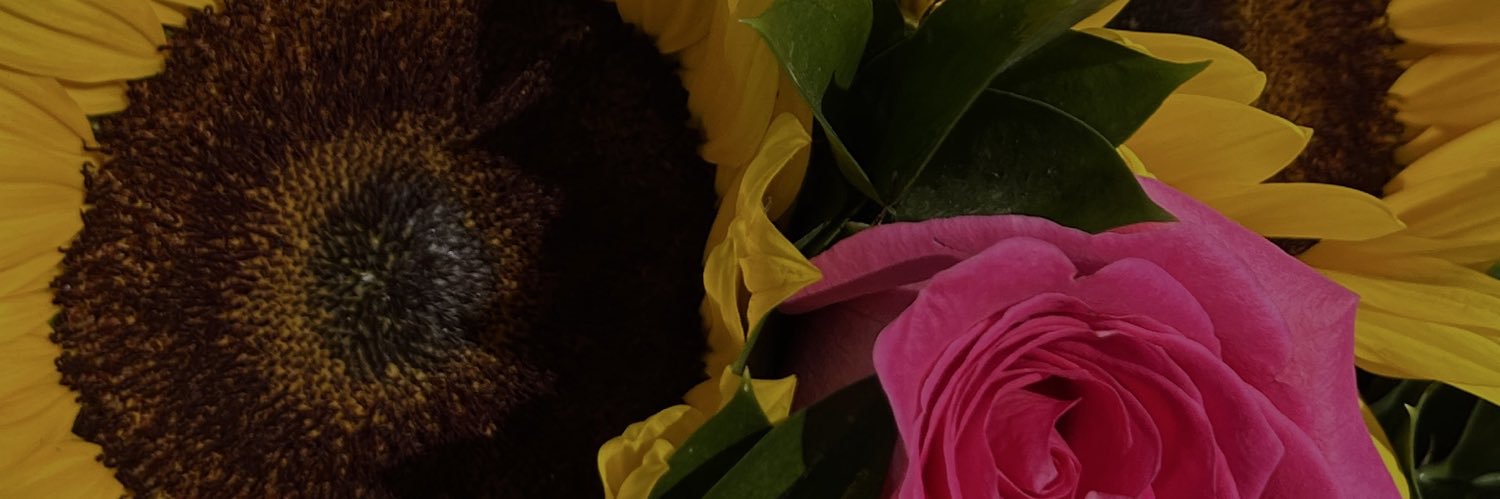 Priscila banner