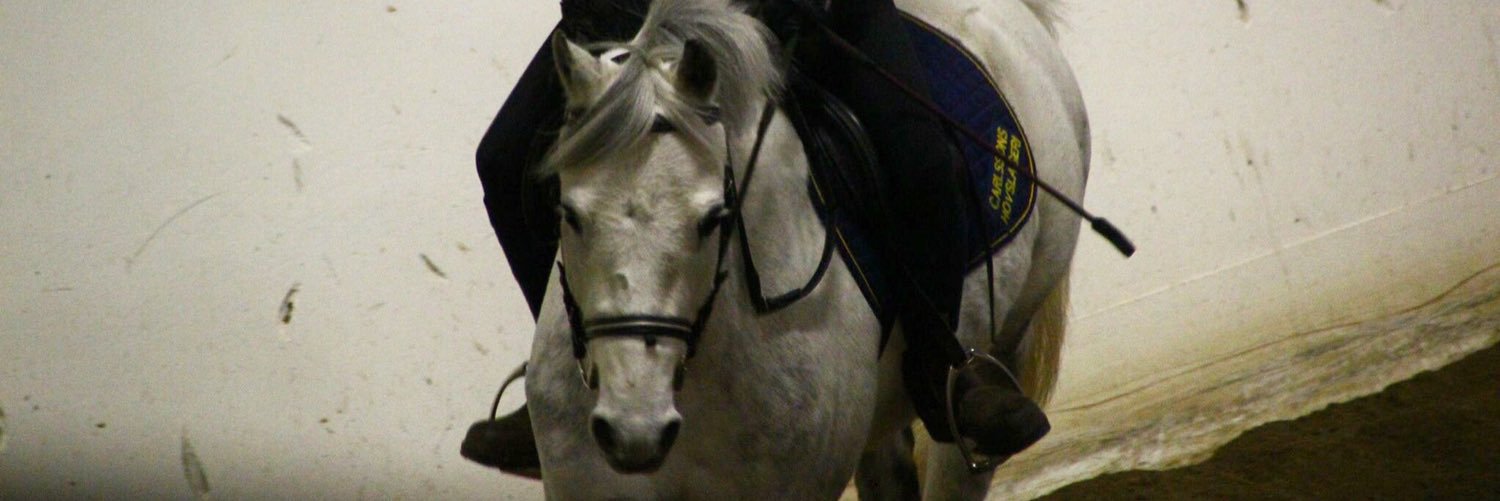 JustDessMusic's profile banner image