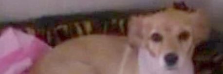 1964_ayten's profile banner image