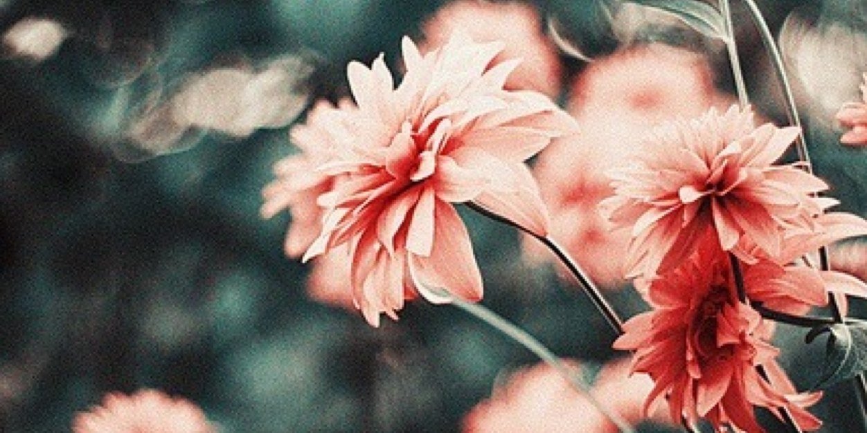 Kredolinka's profile banner image