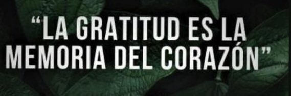 adriana campos banner