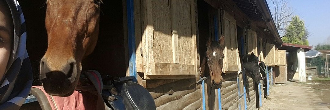 Şengül inci banner