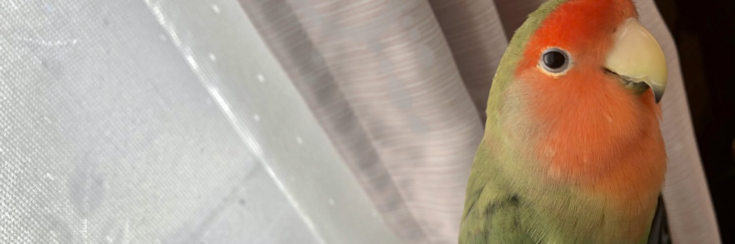 ane_dam's profile banner image