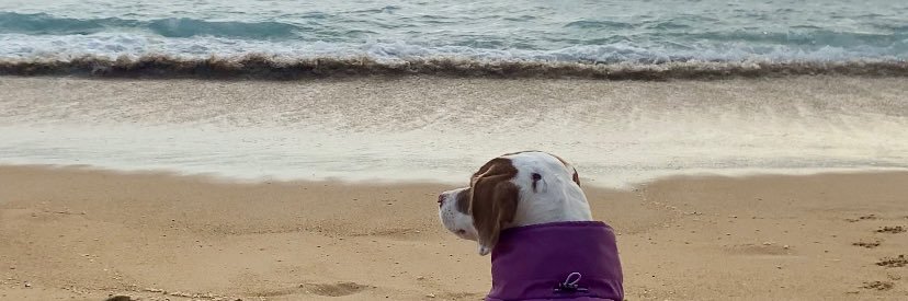 rbelendp's profile banner image