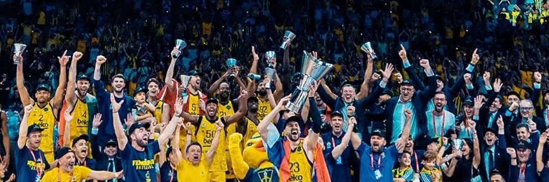 beyzaceae's profile banner image