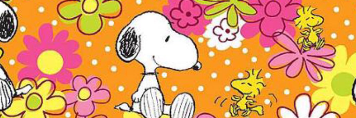 sgarza16's profile banner image