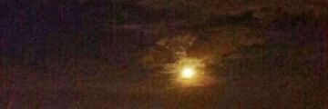 alebroso's profile banner image
