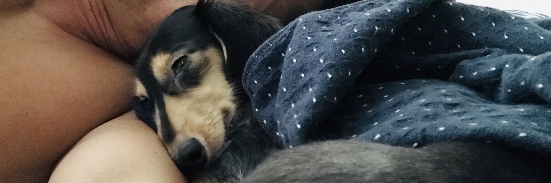 アッシュ！ banner