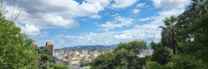 🌻💫🌷AAA banner