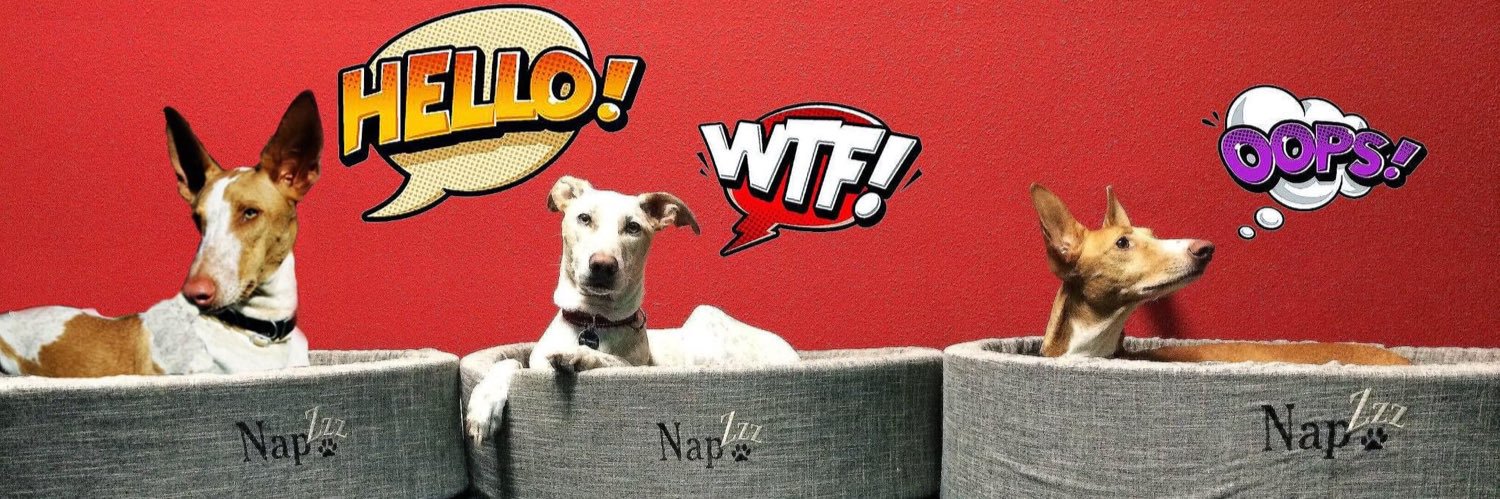 nancy_pep's profile banner image