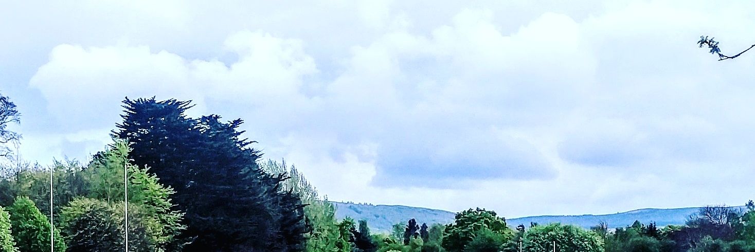 saibhin's profile banner image